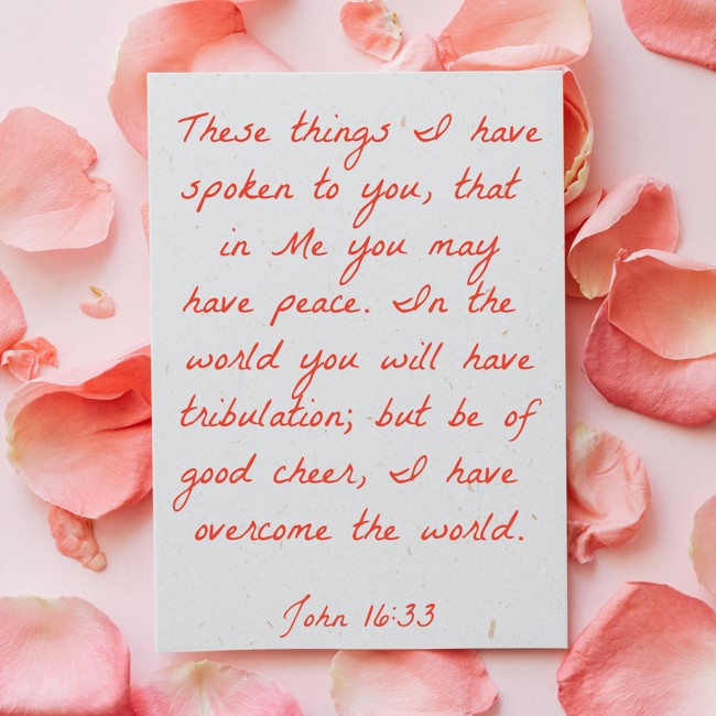 These things I have spoken to you, that in Me you may have peace. In the world you will have tribulation; but be of good cheer, I have overcome the world. - John 16:33