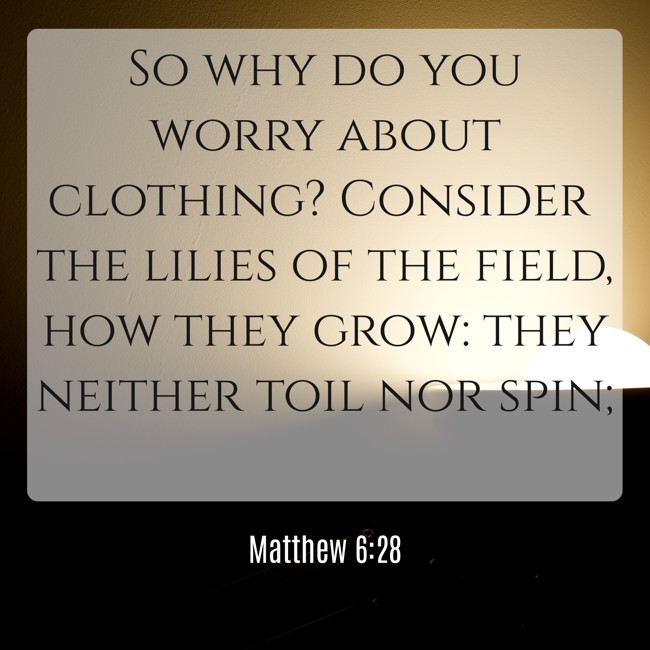 So why do you worry about clothing? Consider the lilies of the field, how they grow: they neither toil nor spin; - Matthew 6:28