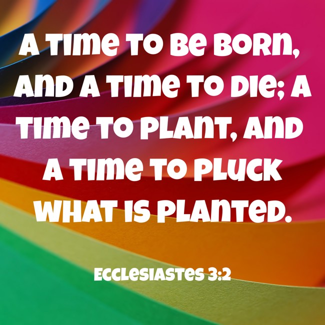 A time to be born, and a time to die; a time to plant, and a time to pluck what is planted. - Ecclesiastes 3:2