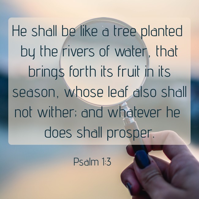 He shall be like a tree planted by the rivers of water, that brings forth its fruit in its season, whose leaf also shall not wither; and whatever he does shall prosper. - Psalm 1:3