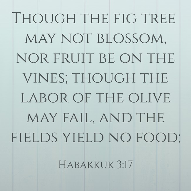 Though the fig tree may not blossom, nor fruit be on the vines; though the labor of the olive may fail, and the fields yield no food; - Habakkuk 3:17