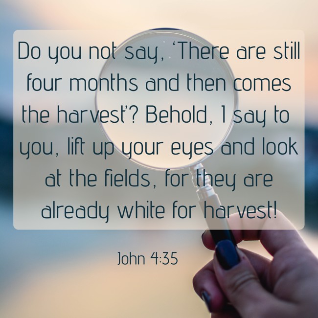 Do you not say, ‘There are still four months and then comes the harvest’? Behold, I say to you, lift up your eyes and look at the fields, for they are already white for harvest! - John 4:35