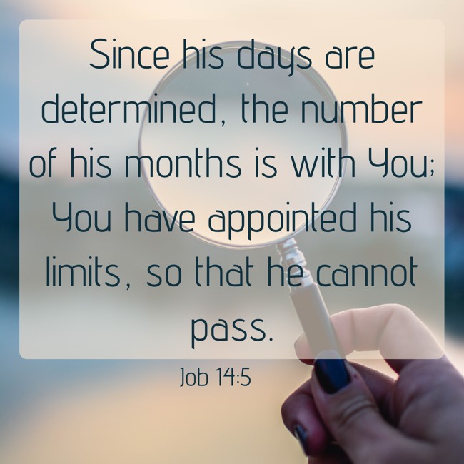 Since his days are determined, the number of his months is with You; You have appointed his limits, so that he cannot pass. - Job 14:5