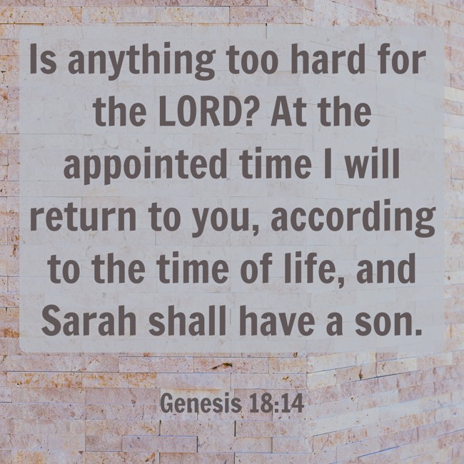 Is anything too hard for the LORD? At the appointed time I will return to you, according to the time of life, and Sarah shall have a son. - Genesis 18:14