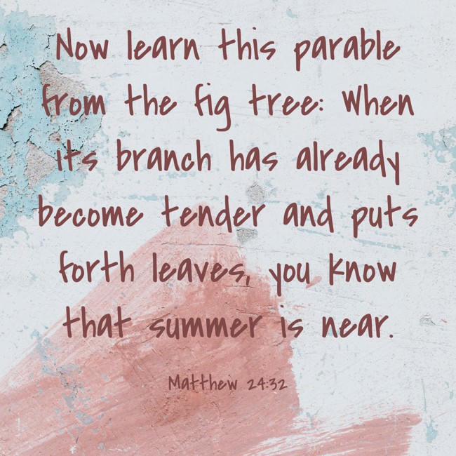 Now learn this parable from the fig tree: When its branch has already become tender and puts forth leaves, you know that summer is near. - Matthew 24:32
