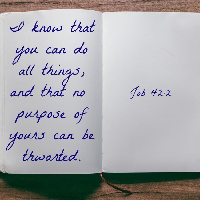 I know that you can do all things, and that no purpose of yours can be thwarted. - Job 42:2