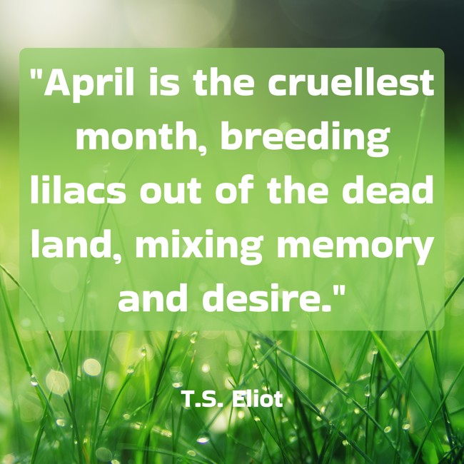 April is the cruellest month, breeding lilacs out of the dead land, mixing memory and desire. - T.S. Eliot