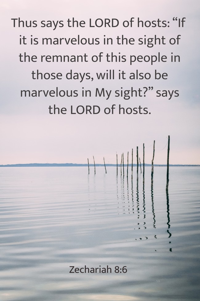 Thus says the LORD of hosts: “If it is marvelous in the sight of the remnant of this people in those days, will it also be marvelous in My sight?” says the LORD of hosts. - Zechariah 8:6
