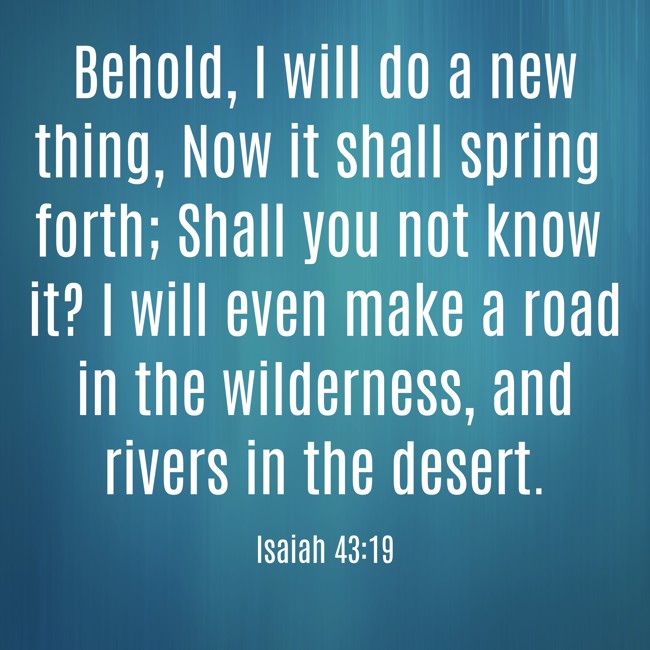 Behold, I will do a new thing, Now it shall spring forth; Shall you not know it? I will even make a road in the wilderness, and rivers in the desert. - Isaiah 43:19