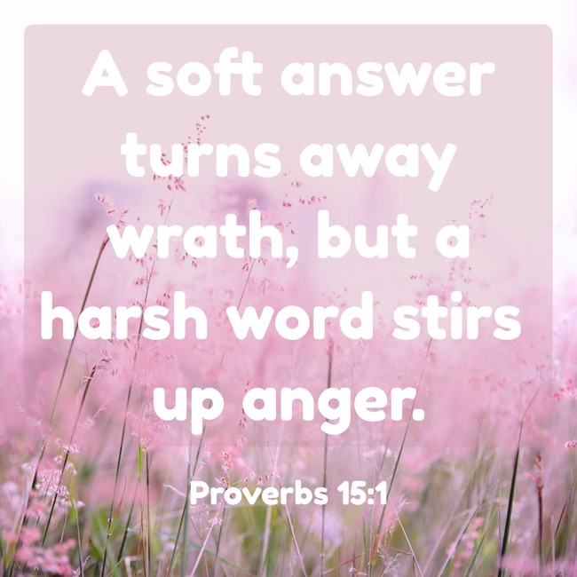 A soft answer turns away wrath, but a harsh word stirs up anger. - Proverbs 15:1