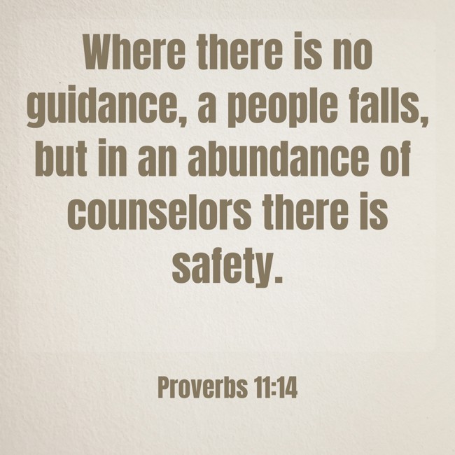 Where there is no guidance, a people falls, but in an abundance of counselors there is safety. - Proverbs 11:14