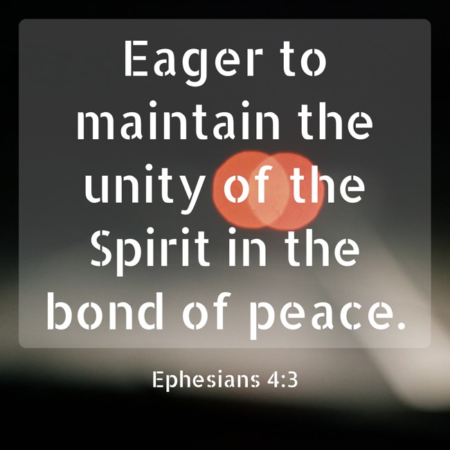 Eager to maintain the unity of the Spirit in the bond of peace. - Ephesians 4:3
