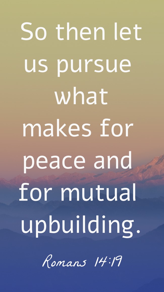 So then let us pursue what makes for peace and for mutual upbuilding. - Romans 14:19