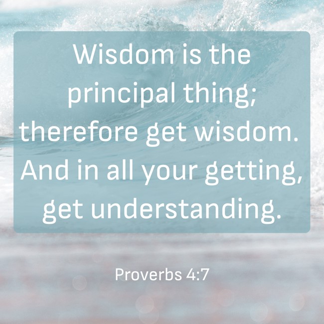 Wisdom is the principal thing; therefore get wisdom. And in all your getting, get understanding. - Proverbs 4:7