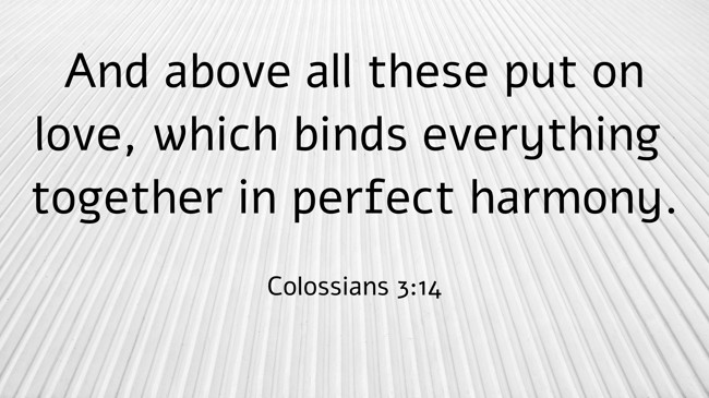 And above all these put on love, which binds everything together in perfect harmony. - Colossians 3:14