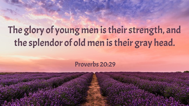 The glory of young men is their strength, and the splendor of old men is their gray head. - Proverbs 20:29