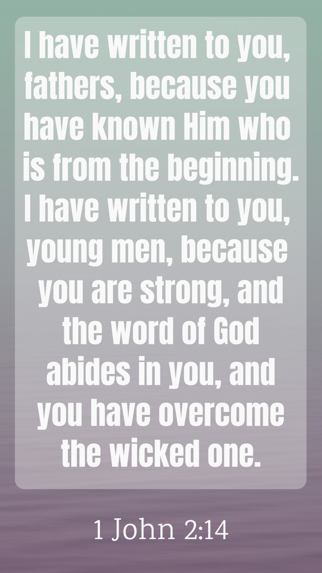 I have written to you, fathers, because you have known Him who is from the beginning. I have written to you, young men, because you are strong, and the word of God abides in you, and you have overcome the wicked one. - 1 John 2:14