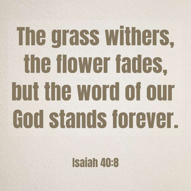The grass withers, the flower fades, but the word of our God stands forever. - Isaiah 40:8