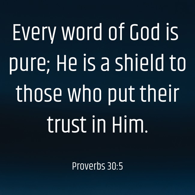 Every word of God is pure; He is a shield to those who put their trust in Him. - Proverbs 30:5