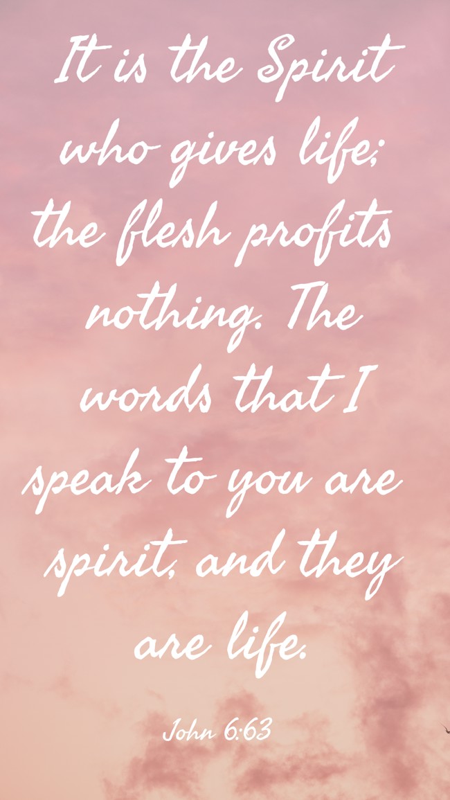 It is the Spirit who gives life; the flesh profits nothing. The words that I speak to you are spirit, and they are life. - John 6:63