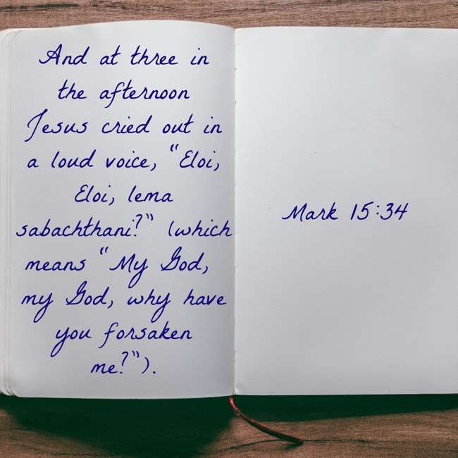 And at three in the afternoon Jesus cried out in a loud voice, “Eloi, Eloi, lema sabachthani?” (which means “My God, my God, why have you forsaken me?”). - Mark 15:34