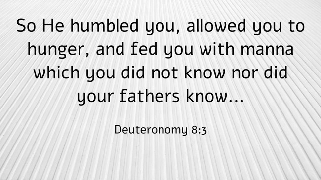So He humbled you, allowed you to hunger, and fed you with manna which you did not know nor did your fathers know... - Deuteronomy 8:3