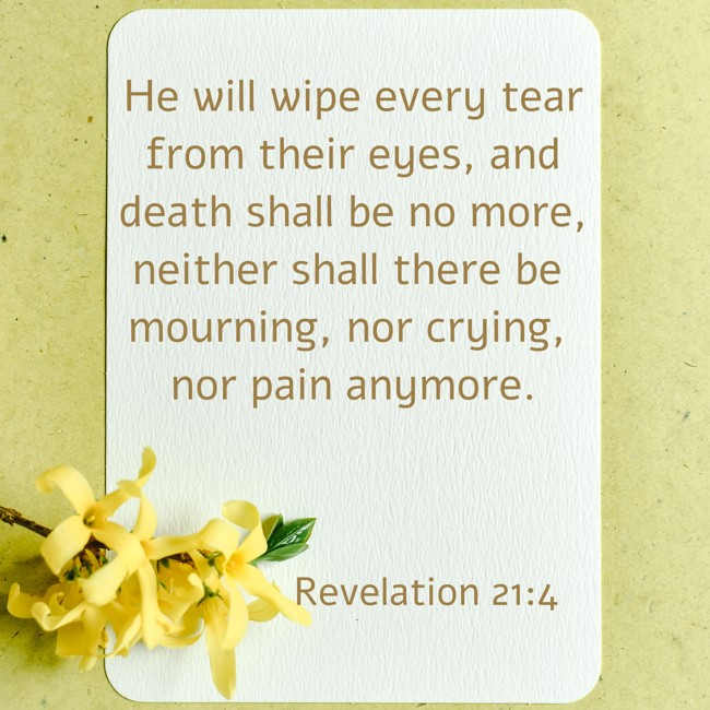 He will wipe every tear from their eyes, and death shall be no more, neither shall there be mourning, nor crying, nor pain anymore. - Revelation 21:4