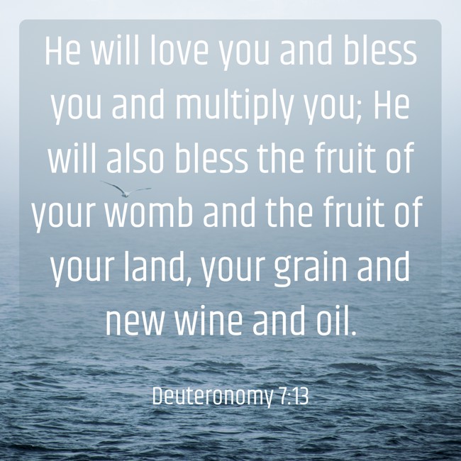 He will love you and bless you and multiply you; He will also bless the fruit of your womb and the fruit of your land, your grain and new wine and oil. - Deuteronomy 7:13
