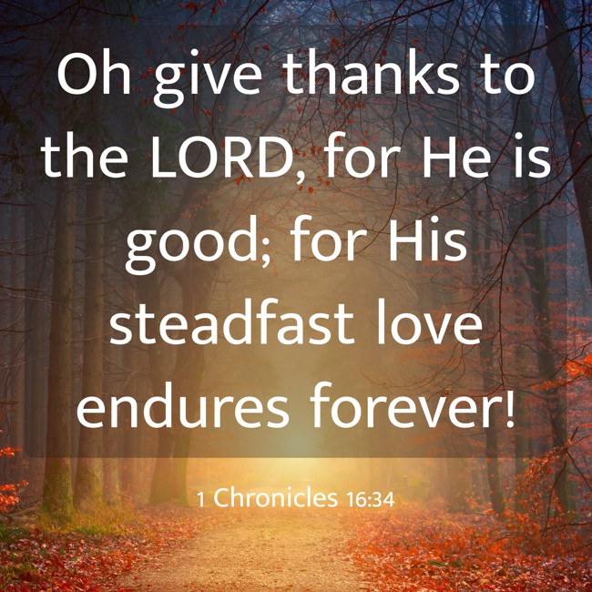 Oh give thanks to the LORD, for He is good; for His steadfast love endures forever! - 1 Chronicles 16:34