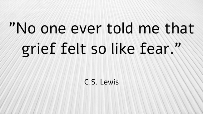 No one ever told me that grief felt so like fear. - C.S. Lewis