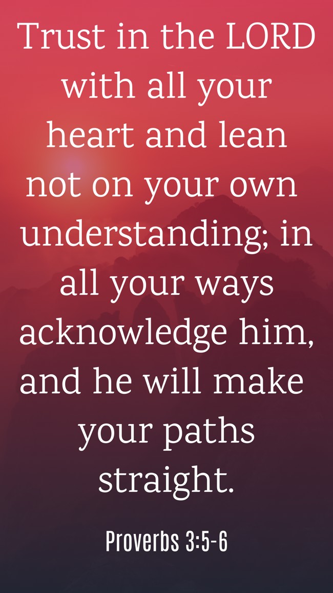 Trust in the LORD with all your heart and lean not on your own understanding; in all your ways acknowledge him, and he will make your paths straight. - Proverbs 3:5-6