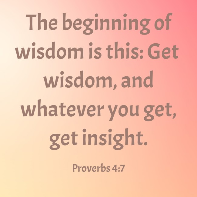 The beginning of wisdom is this: Get wisdom, and whatever you get, get insight. - Proverbs 4:7