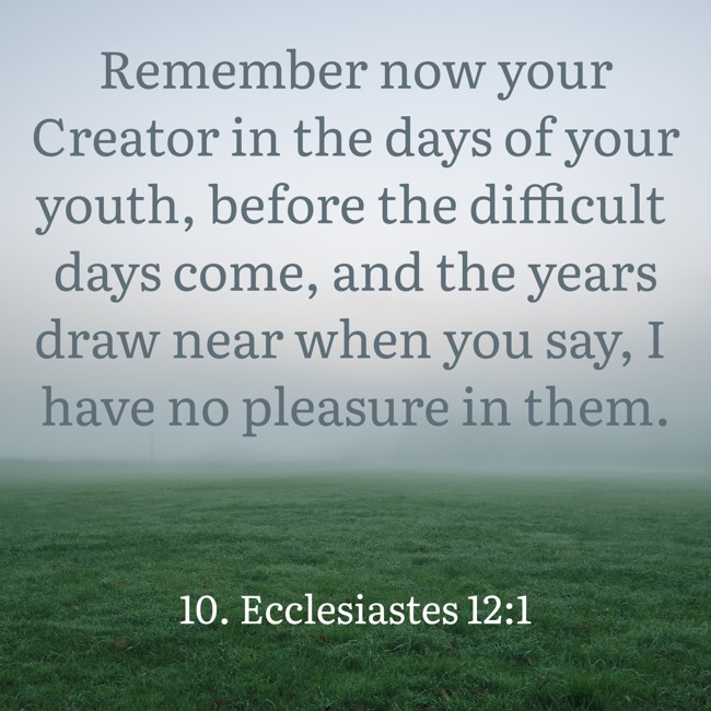 Remember now your Creator in the days of your youth, before the difficult days come, and the years draw near when you say, I have no pleasure in them. - 10. Ecclesiastes 12:1
