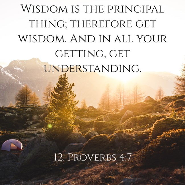 Wisdom is the principal thing; therefore get wisdom. And in all your getting, get understanding. - 12. Proverbs 4:7