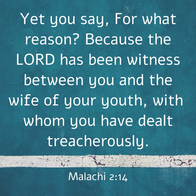 Yet you say, For what reason? Because the LORD has been witness between you and the wife of your youth, with whom you have dealt treacherously. - Malachi 2:14