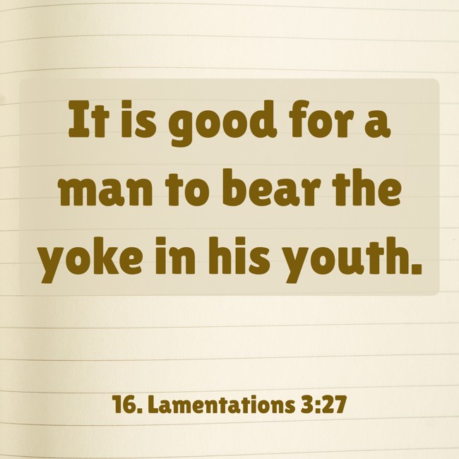 It is good for a man to bear the yoke in his youth. - 16. Lamentations 3:27