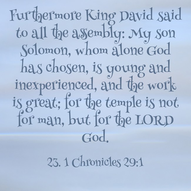 Furthermore King David said to all the assembly: My son Solomon, whom alone God has chosen, is young and inexperienced, and the work is great; for the temple is not for man, but for the LORD God. - 23. 1 Chronicles 29:1