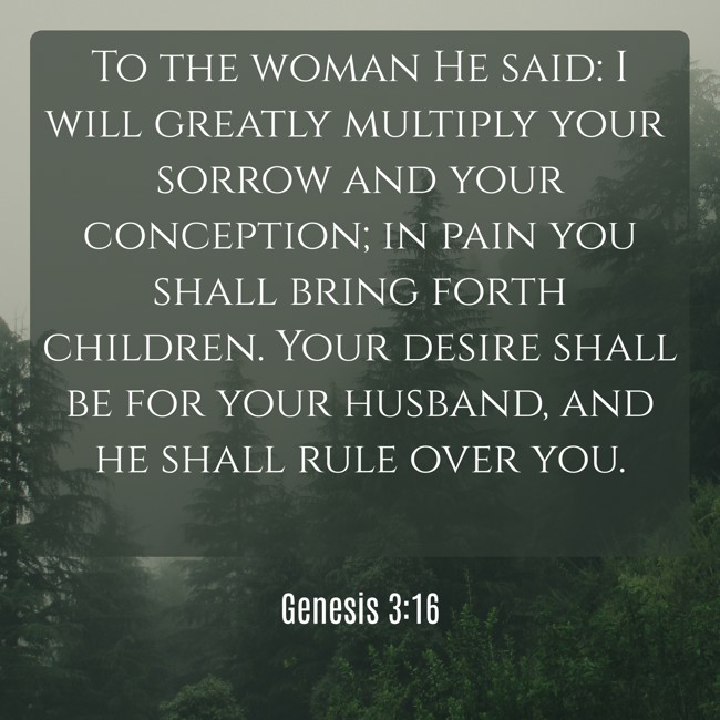 To the woman He said: I will greatly multiply your sorrow and your conception; in pain you shall bring forth children. Your desire shall be for your husband, and he shall rule over you. - Genesis 3:16