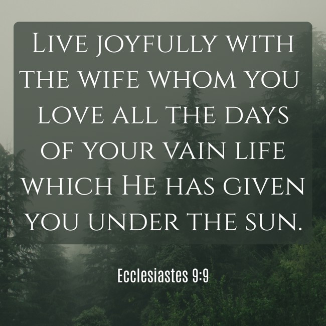 Live joyfully with the wife whom you love all the days of your vain life which He has given you under the sun. - Ecclesiastes 9:9