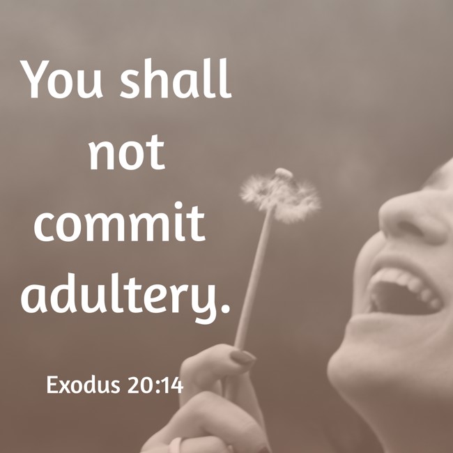 You shall not commit adultery. - Exodus 20:14