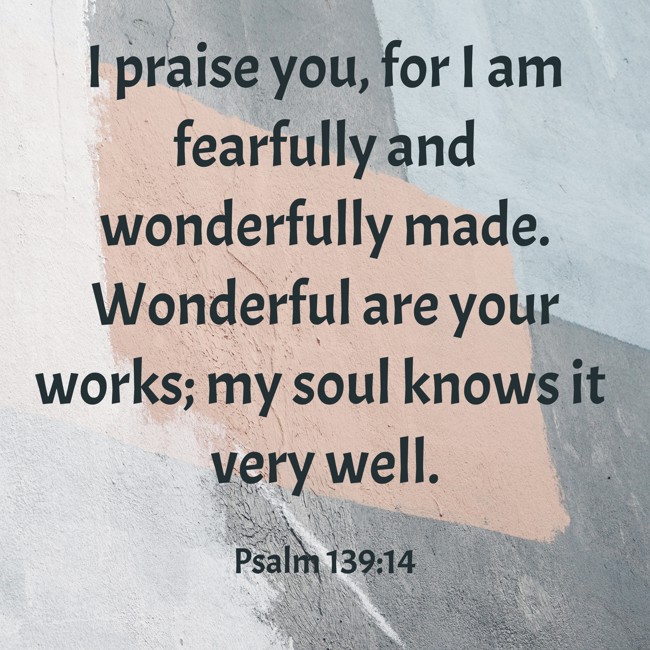 I praise you, for I am fearfully and wonderfully made. Wonderful are your works; my soul knows it very well. - Psalm 139:14