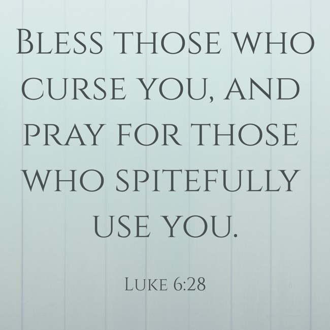 Bless those who curse you, and pray for those who spitefully use you. - Luke 6:28