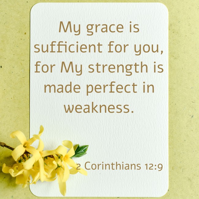  My grace is sufficient for you, for My strength is made perfect in weakness.   - 2 Corinthians 12:9 