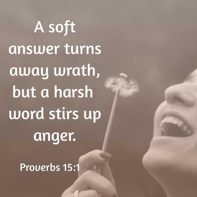 A soft answer turns away wrath, but a harsh word stirs up anger. - Proverbs 15:1