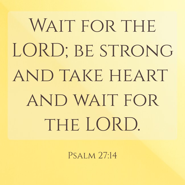  Wait for the LORD; be strong and take heart and wait for the LORD.   - Psalm 27:14 