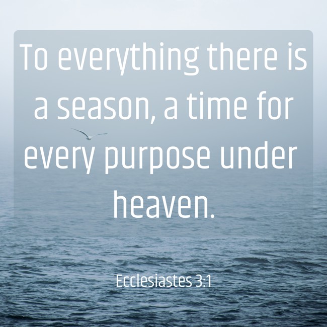 To everything there is a season, a time for every purpose under heaven. - Ecclesiastes 3:1