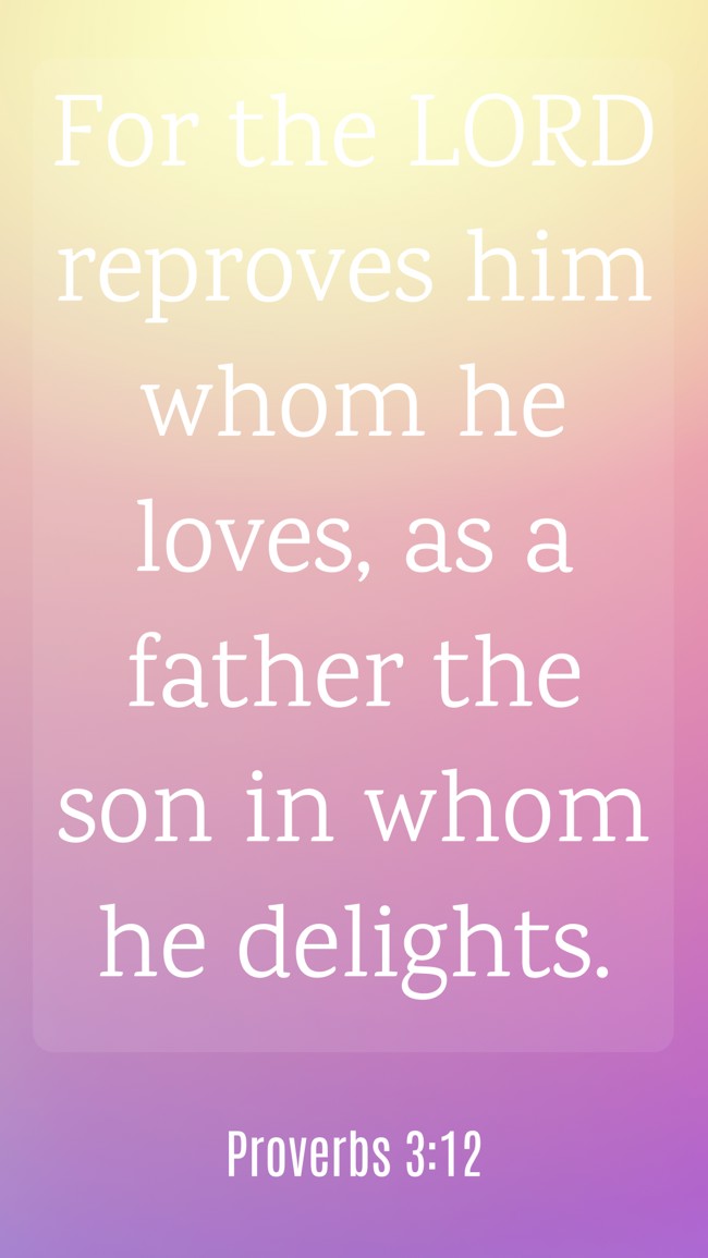 For the LORD reproves him whom he loves, as a father the son in whom he delights. - Proverbs 3:12