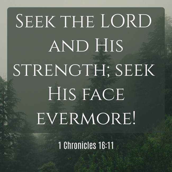  Seek the LORD and His strength; seek His face evermore!   - 1 Chronicles 16:11 