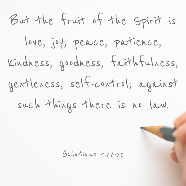 But the fruit of the Spirit is love, joy, peace, patience, kindness, goodness, faithfulness, gentleness, self-control; against such things there is no law. - Galatians 5:22-23