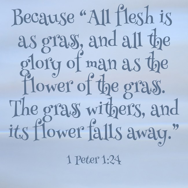 Because “All flesh is as grass, and all the glory of man as the flower of the grass. The grass withers, and its flower falls away.” - 1 Peter 1:24